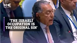 Pakistan&rsquo;s ambassador to the UN criticises Canada's amendment to the UNGA resolution on Gaza