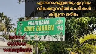 എറണാകുളത്തു വിലക്കുറവിൽ ചെടികൾ വാങ്ങാൻ ഒരിടം / garden tour video #trendingvideo 