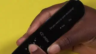 Lingo 3 Features