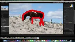 Lightroom Object Selection