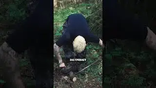 РУЧНАЯ ПИЛА ОТ НОРДОВ
