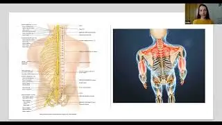Palestra Sa&uacute;de Postural Orion