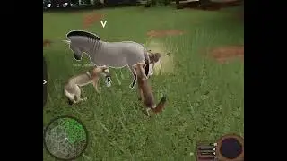 🐴Wolf Hunting Western Horse🐺&bull;|&bull;Ecos La Brea