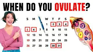 📅 How to Calculate Your Menstrual Cycle & Ovulation Day Easily?