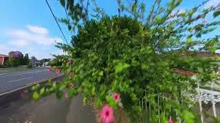 Emert street Wentworthville, at end, Follow me cut from 360 video