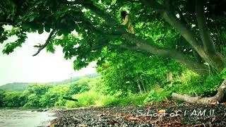 Tree of Life （Tantra Yoga) School of I AM!!