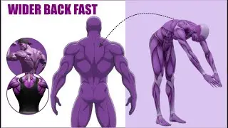 How I Built a Wider Back FAST (5 Exercises) 💪🔥