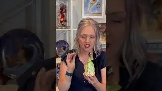 Tiana Jim Shore review