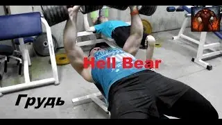 Hell Bear. Грудь. Детский фитнес. Александр Невский.