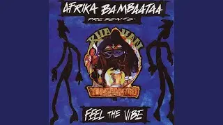 Feel the Vibe (Vibe Mix)