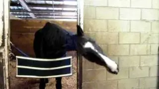 Dancing with Lava Man