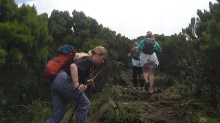 Elephant hills day Hike