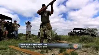 Dove Season: Opening Day