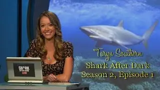 Taryn Southern   Shark After Dark S02E01