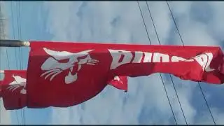 Официальный дилер Bobcat в Иркутске