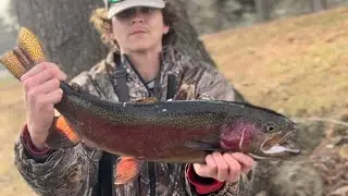 Trout Fishing a PRIVATE STREAM (INSANE DAY)