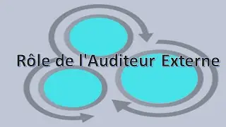 R&ocirc;le de l'Auditeur Externe
