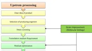 Upstream Processing