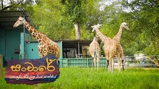 Sanchare | Episode 29  - (2018-10-26) | ITN