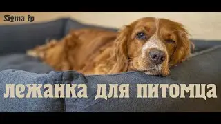 Лежанка для собаки, которая подходит для путешествий! Диван для питомца. Travel Pet Bed. INTEX!