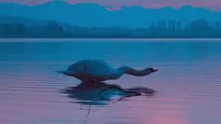 Wake up in the sky- bruno mars, gucci mane, kodack black chill lofi video