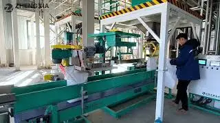 10kg 25kg Bag Nut/Seed/Grain Packaging Machine Automatic Weighing And Sewing Machine#packingmachine