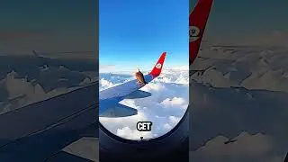 Cet oiseau se pose sur l'aile d'un avion en plein vol ! #oiseau #avion #vol #nature #a&eacute;ronautique