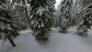 Whitefish, MT - Good Medicine and Head Wall - January 10, 2026