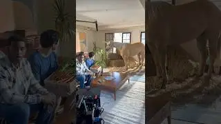 behind the scenes #comedy #fyp #horse #reels