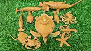 The Great Ocean Quest: A Fun Ocean Adventure with Octopus & Sea Creatures