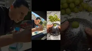 #pov : le cheatcode pour devenir millionnaire crédit : @Batzair #batzair #humour #viral #asmr