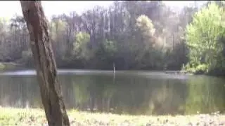 Lake Turkey