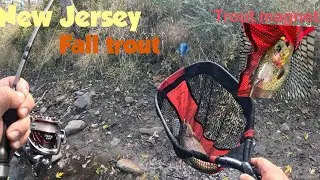 Fall season Trout fishing (stocked water body) | New Jersey 🇺🇸 | Trout magnets (scent added) 