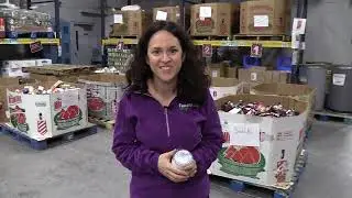 FeedMore WNY Programs and Services Tour
