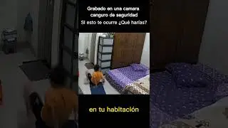 Esto pasa muy seguido de lo normal #terror #miedo #paranormal #viral
