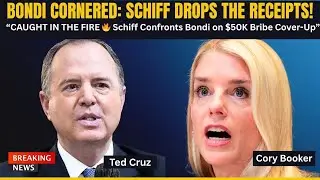 Adam Schiff EXPOSES Pam Bondi in Explosive Hearing on DOJ Corruption