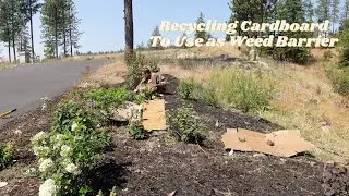 Using Recycled Cardboard as a Weed Barrier | One of a Kind Hydrangea