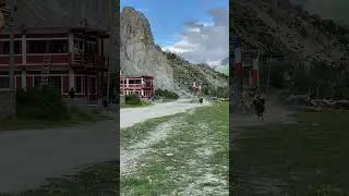 single footing horse race in manang nepal