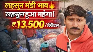आज का लहसुन मंडी भाव garlic bhav today #chanchalmouryafarmar #garlic price