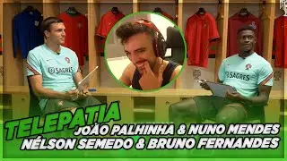 SEALS REAGE COM ALEGRIA  
