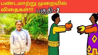 Herbal plants |கந்தசாமி மூலிகை தோட்டம் சேலம் பகுதி 2