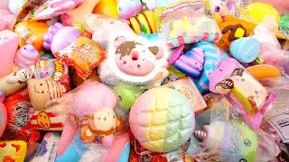 updated squishy collection 2019