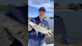 Snook, Jacks & Good Times &mdash; A Florida Fishing Afternoon in Palm Beach