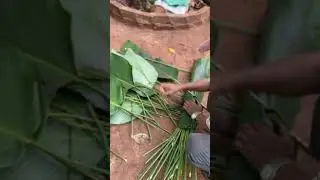 Harvesting Wild Leaves and Making Traditional Tet Cakes | Lunar New Year Prep