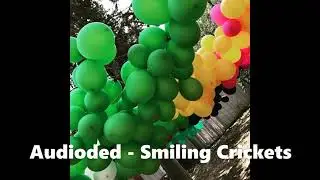 Audioded - Smiling Crickets