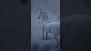 RDR2 | White Arabian horse location #rdr2