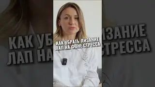 Собака лижет лапы целый день #животные #собака