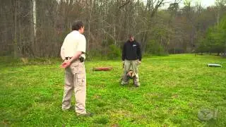 Yahoo Special on Off-Leash K9 Training. Dog Training, Northern Virginia