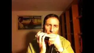 Yesterday - Armonica Cromatica ( Hohner CX12 )