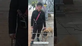 Testimonio de la Unidad M&oacute;vil Veterinaria MascOSas #cuidadoanimal #bienestaranimal #saludanimal